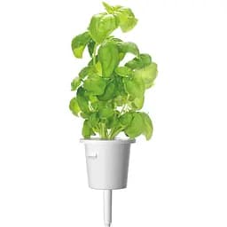 Змінний картридж Click & Grow Smart Garden Базилік, 3 капсули (7199)