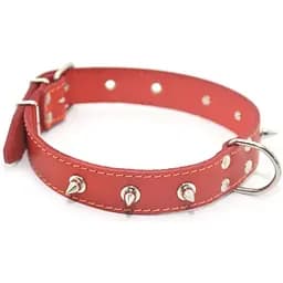 Нашийник для собак Zoo-hunt шкіряний з шипами червоний ОШ 3,5/44-55 см