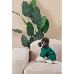 Комбінезон Pet Fashion EGO ХS зелений для собак - мініатюра 9