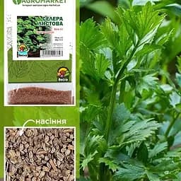 Селера листова (Зипер) ТМ "Весна" 1г (11931)