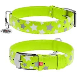 Ошейник для собак Waudog Glamour кожаный с QR паспортом, узор Звездочка, светящийся/светоотражающий, L, Ш 35 мм, Дл 46-60 см (4823089301440)