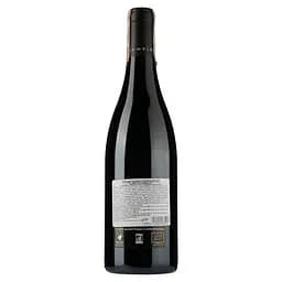 Вино Thierry Germain Domaine des Roches Neuves Saumur-Champigny Terres Chaudes 2017 АОС/AOP, 12,5%, 0,75 л (766690) - мініатюра 2