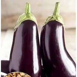 Насіння Весна на вагу Баклажан Алмаз ціна за 2 г (13393)