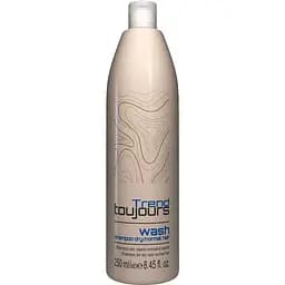 Шампунь для сухого та нормального волосся Trend Toujours Wash Shampoo Dry/Normal Hair 250 мл (535454)