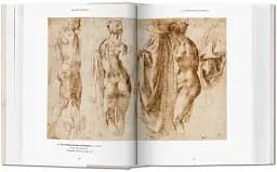 Michelangelo. The Graphic Work - мініатюра 2