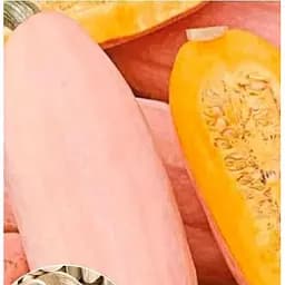 Насіння Весна на вагу Гарбуз Рожевий бивень ціна за 10 г (49372)