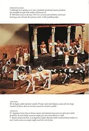 Ancient Egypt on Five Deben a Day - мініатюра 7