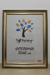 Фоторамка 30х40, срібний із золотим обрамленням, 377-036S, СКЛО + КАРТОН                                                                                                                                                                   