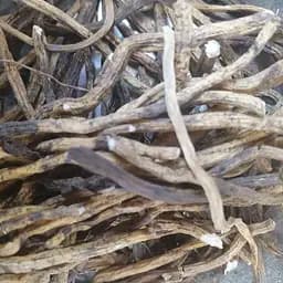 100 г чемерица/кукольник корень сушеный - свежий урожай