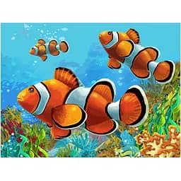 Полотно на картоне с контуром Rosa Start Коралловые рыбки 30х40 хлопок акрил