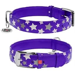 Нашийник для собак Waudog Glamour шкіряний з QR паспортом, візерунок Зірочка, що світиться/світловідбиваючий, L, Ш 35 мм, Дов 46-60 см (4823089301471)