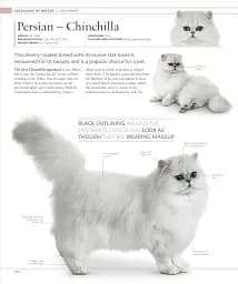 The Cat Encyclopedia - мініатюра 16