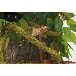 Ліана гнучка з натуральним мохом для тераріуму Repti-Zoo Artificial Moss Vine 1,5см x 2м (RV0215) - мініатюра 13