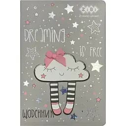 Щоденник шкільний ZiBi Cloud В5 48 аркушів сірий (ZB.13216-09)