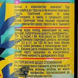Пиво Volynski Browar Forever Hawaii світле нефільтроване 4.5% 0.5 л - мініатюра 4