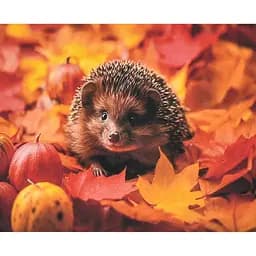 Алмазная мозаика Strateg ПРЕМИУМ Осень в колючках размером 40х50 см (SK88227)