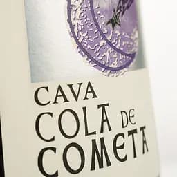 Вино ігристе Cola De Cometa Cava, біле, брют, 12%, 0,75 л - мініатюра 3