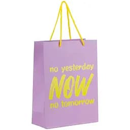 Набір подарункових пакетів Axent Now паперові 18х24 см 5 шт. (8501-27-A)