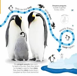 Follow the Trail. Winter Wonderland. Take a Peek! Fun Finger Trails! - мініатюра 4