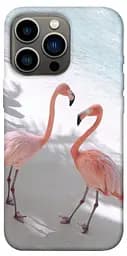 TPU чохол Flamingos