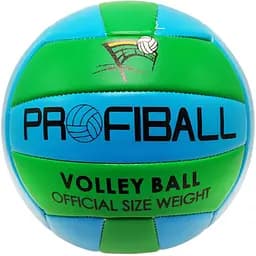 Волейбольный мяч Bambi EV-3159 20,7 см Синий-зеленый