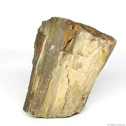 Декоративний природній камінь Hobby Petrified Wood S 0.3-1.0кг (40686) - мініатюра 2
