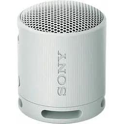 Портативная колонка Sony SRS-XB100 Grey (SRSXB100H.CE7)