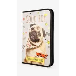 Папка для ручного труда Апельсин АП-1002 МОПС А4 Разноцветный