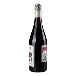 Вино Don Simon Cabernet Sauvignon, червоне, сухе, 0,75 л - мініатюра 4