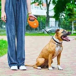 Повідець-рулетка для собак Waudog R-leash з контейнером для пакетів, світловідбивна стрічка, L, до 40 кг, 5 м, помаранчевий - мініатюра 8