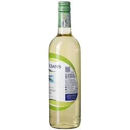 Вино Two Oceans Fresh and Fruity біле напівсухе 11.5% 0.75 л - мініатюра 5