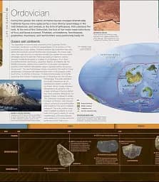 Dinosaurs and Prehistoric Life. The Definitive Visual Guide - мініатюра 3
