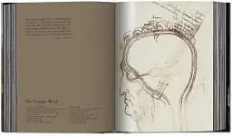 Leonardo. The Complete Paintings and Drawings - мініатюра 11