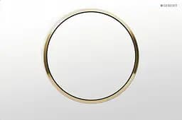 Клавіша змиву Geberit Sigma10 білий/золото 115.758.KK.5, Золотий