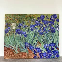 Інтер'єрна картина Іриси, Вінсент ван Гог, Irises, Vincent van Gogh, інтер'єрний декор, 60×76 см (id6820) - мініатюра 5