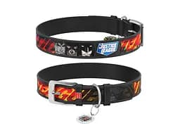 Ошейник для животных WAUDOG Design с QR паспортом "Лига справедливости" Ш 12 мм Д 18-24 см черный (0012-1010-01)