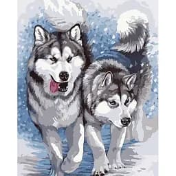 Картина за номерами Santi Хаскі, 25х25 см (954520)