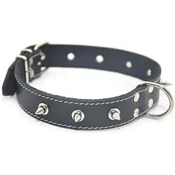 Нашийник для собак Zoo-hunt шкіряний із шипами чорний ОШ 3,5/44-55 см