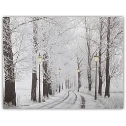 Картина зі світловими ефектами Devilon Зимовий ліс з вуличними ліхтарями та засніженою стежкою 5 LЕD ламп 30х40 см (940157)