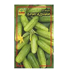 Насіння огірка Бригадний 5 г (Насіння країни)