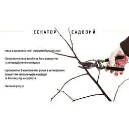 Секатор Alloid 250 мм (PS-22250) - мініатюра 5