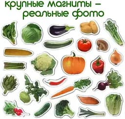 Набір магнітів Magdum "Овочі" ML4031-12 EN - мініатюра 8