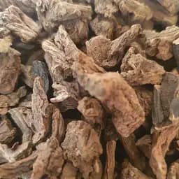 100 г чистотел корень сушеный - свежий урожай