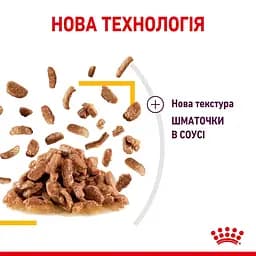 Вологий корм для дорослих котів Royal Canin Sensory Taste Gravy шматочки в соусі 1.02 кг (12 шт. х 85 г) - мініатюра 5