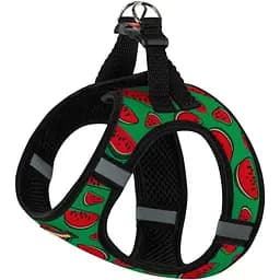 Шлея для собак Bronzedog Sport Vest Арбуз L 26х20х3 см зеленая