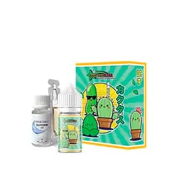 Набор компонентов для самозамеса солевой заправки Yum-Yum Star 30 мл, 0-50 мг Кактус Огурец Мята (16331)