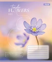 Упаковка зашитів 1В Tender Flowers учнівський загальний 10 шт./48 лін. (768081) - мініатюра 6