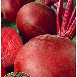 Насіння Весна на вагу Буряк Вінегретка ціна за 10 г (35721)