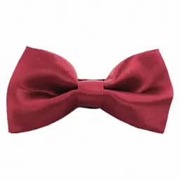 Краватка-метелик