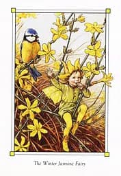 Flower Fairies of the Winter - мініатюра 8